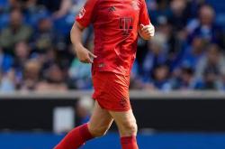 开云足球直播-霍芬海姆主场大捷，主教练庆祝颇有感触！