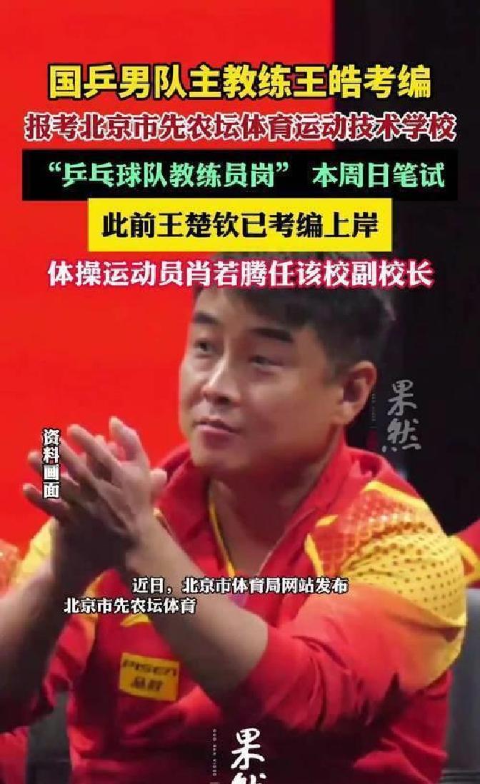 瑞典乒乓球队逆转法国乒乓球队,王皓送出助攻 瑞典乒乓球队逆转法国乒乓球队,王皓送出助攻