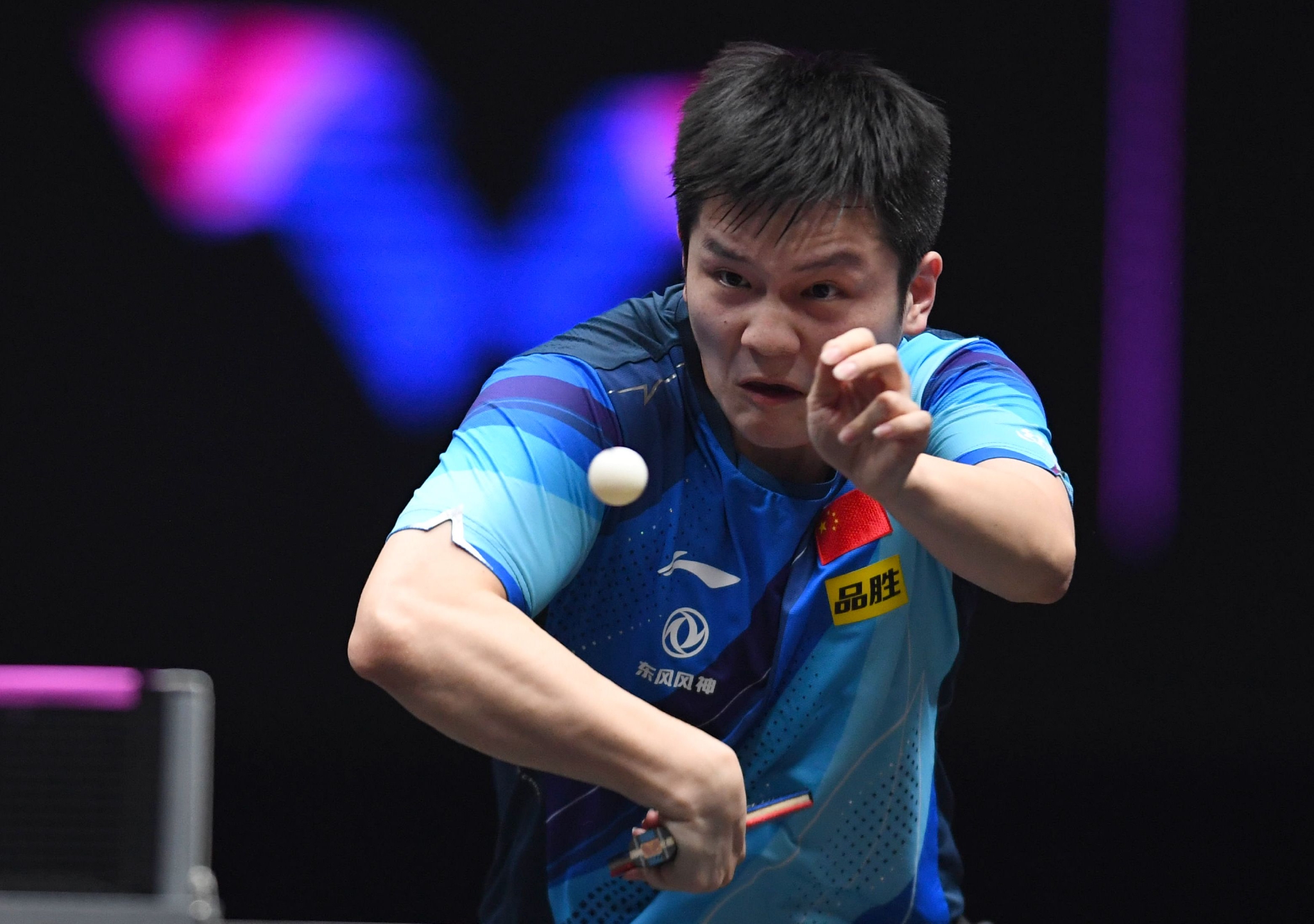 关于波兰乒乓球队逆转日本乒乓球队，樊振东高光表现的信息