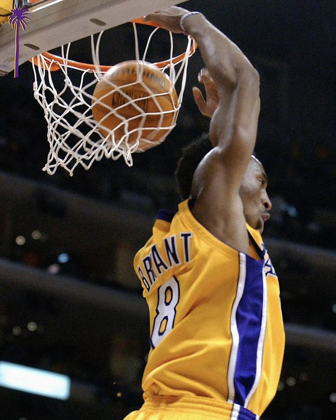 南美洲篮球巨星突然宣布退役,球迷震惊 南美洲篮球巨星突然宣布退役,球迷震惊