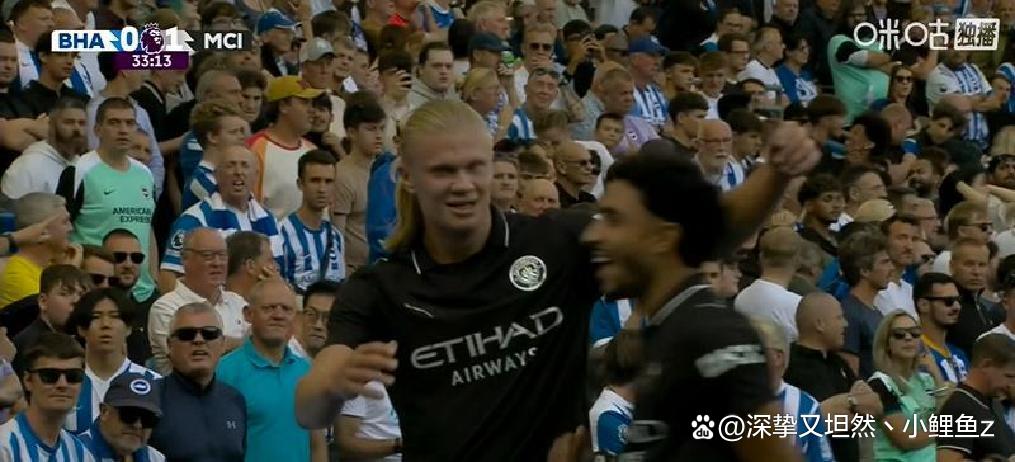 布莱顿遭遇连败,保级压力加大 布莱顿遭遇连败,保级压力加大